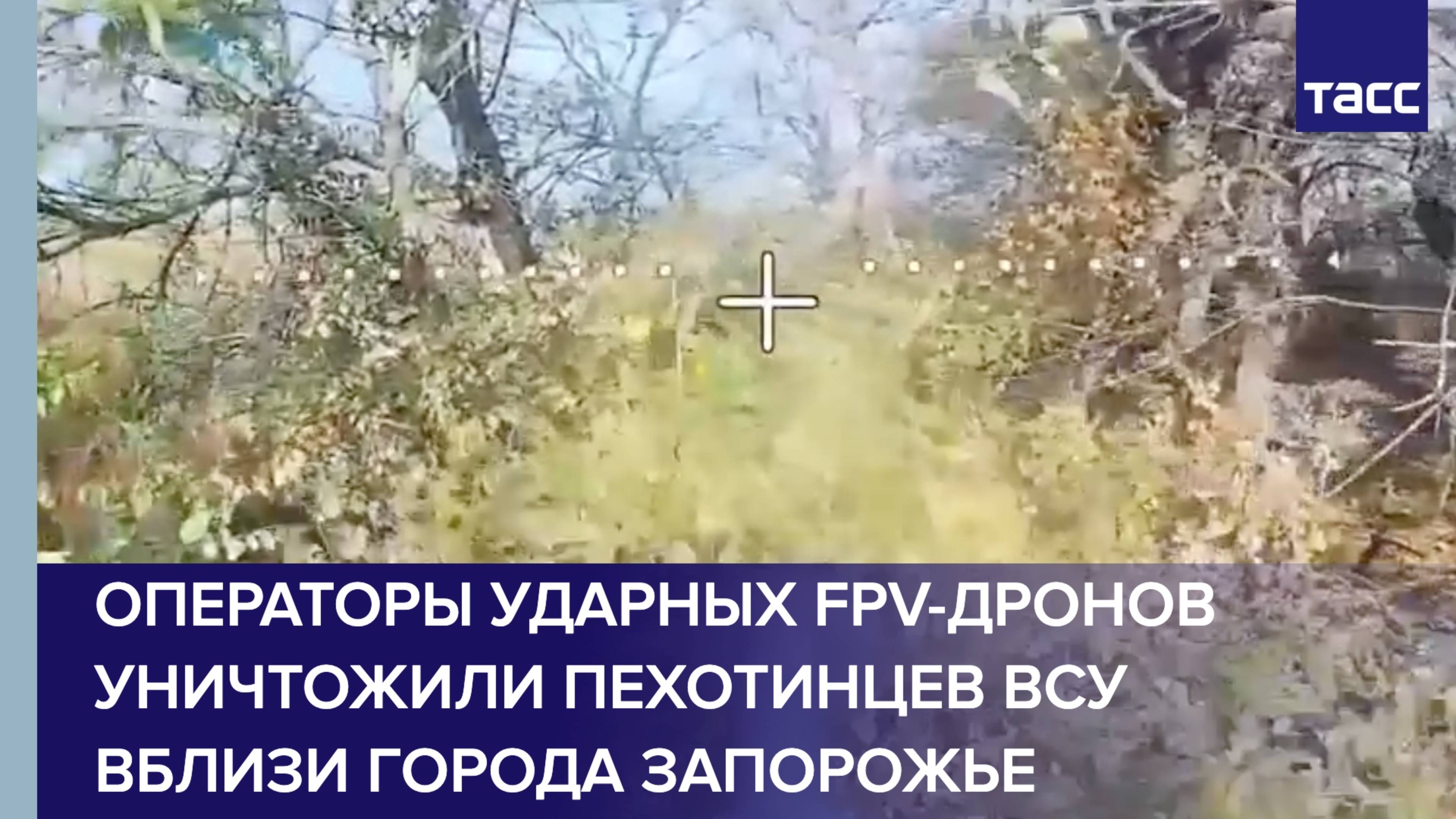 Операторы ударных FPV-дронов уничтожили пехотинцев ВСУ вблизи города Запорожье