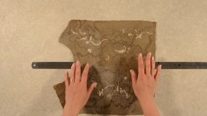 Молния с цельноваляной планкой (Коршун)