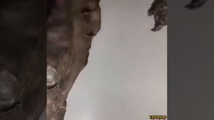 Неизвестное #существо найденное на дне черного моря