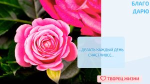 Благодарю за возможность делать каждый день счастливее!