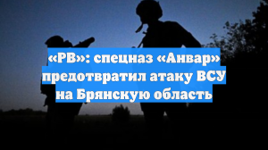 «РВ»: спецназ «Анвар» предотвратил атаку ВСУ на Брянскую область