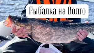 Рыбалка на Волго