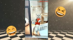 Я РЖАЛ ДО СЛЕЗ 😂 ОТБОРНЫе ПРИКОЛы, Смешные видео - Лучшие ПРИКОЛЫ #6