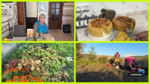 Обновка для Евы. Пышные ШАРЛОТКИ 🍏🍎Начали копать КАРТОШКУ 🥔🥔🥔