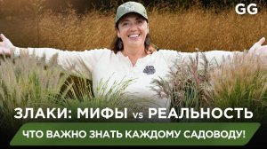 ТОП необычных злаков: для тех, кто хочет удивить