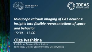 Miniscope calcium imaging of CA1 neurons