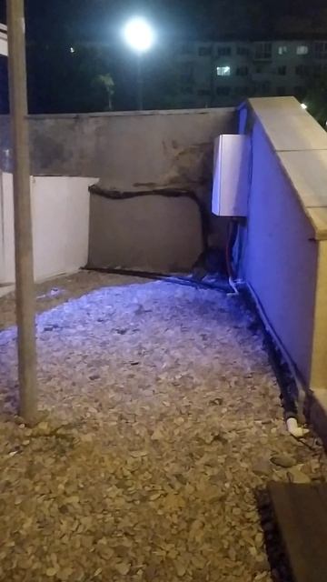 На берегу моря как в сказке