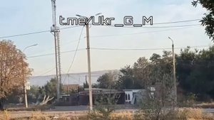 Тарасик увидел нашего ждуна и сразу вспомнил русский язык