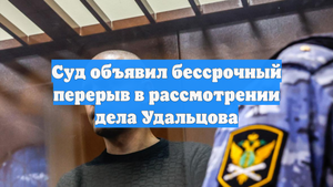 Суд объявил бессрочный перерыв в рассмотрении дела Удальцова