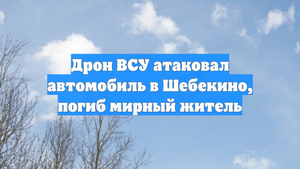 Дрон ВСУ атаковал автомобиль в Шебекино, погиб мирный житель