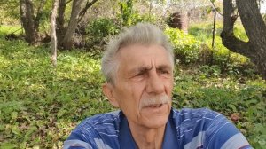 Философия сентябрьских будней