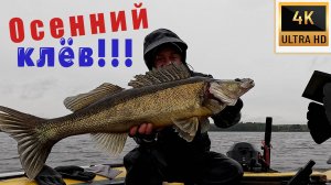 ЗАЧЕМ ЩУКА, ЕСЛИ ЕСТЬ ТАКИЕ СУДАКИ!!! НАСТОЯЩИЙ ОСЕННИЙ КЛЁВ!!!