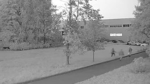 Наши чекисты задержали замоташку, которая в реальности оказалась... (читай описание 👇👇👇)