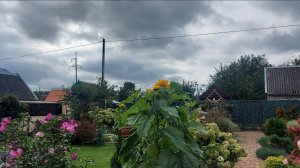 Уж небо осенью дышало....🍁☂ #любимаядача