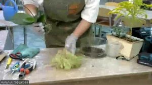 Московский детский чемпионат "Мастерята" 2025-2026 по компетенции "Флористика" 5-8 класс, 2 вебинар