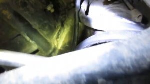 Квадроцикл Stels ATV 600 Y Leopard. Добавки Форум  в действии!