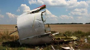 Россия оспорила свою причастность к гибели рейса МН17 в суде ООН