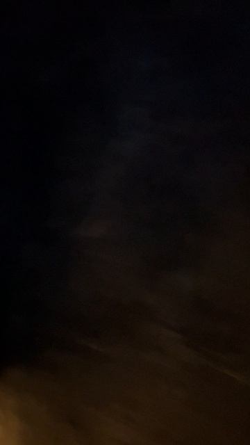 Выбрались наверх из кроличьей норы, там очень жарко #парккраснодар #паркгалицкого