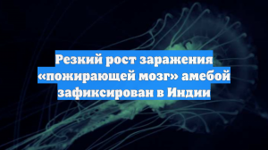 Резкий рост заражения «пожирающей мозг» амебой зафиксирован в Индии
