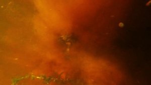 подводная охота.mp4