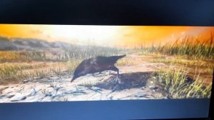 компьютерная игра