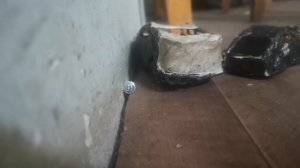 VID_20250918_163207.mp4