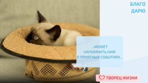 Благодарю за спутников жизни!