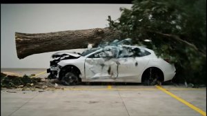Падение дерева на автомобиль | Реалистичный краш-тест 1