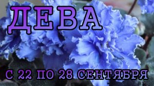 ДЕВА таро прогноз на неделю с 22 по 28 СЕНТЯБРЯ 2025 года.