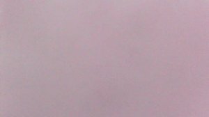 Фрагмент обрезки плодовых деревьев ручным секатором