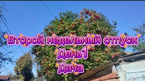 Первый день отпуска на даче)