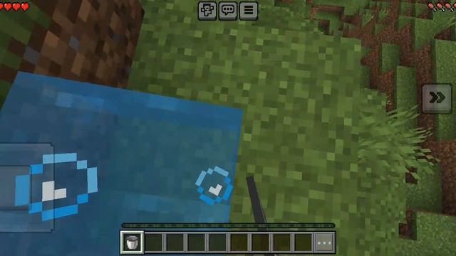 1000021908.mp4