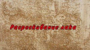 Как может испортить краску на авто птичья каканя