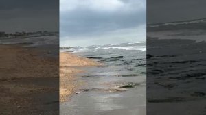 Подпишитесь пожалуйста