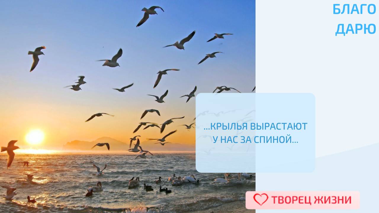 Благодарю за возможность мечтать и воплощать свои мечты!