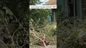 Прямая трансляция fishing и мы !