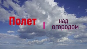 Полет над огородом