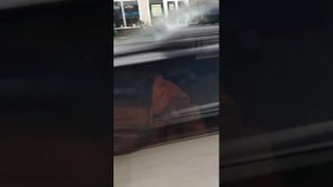 Поездки в общественном транспорте | 18-сен-2025