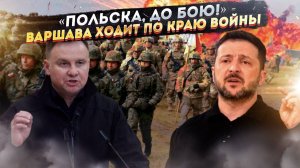 Польше предложили стать новым мясом для НАТО: зачем Зеленский умоляет Варшаву начать войну