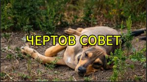 Чертов совет