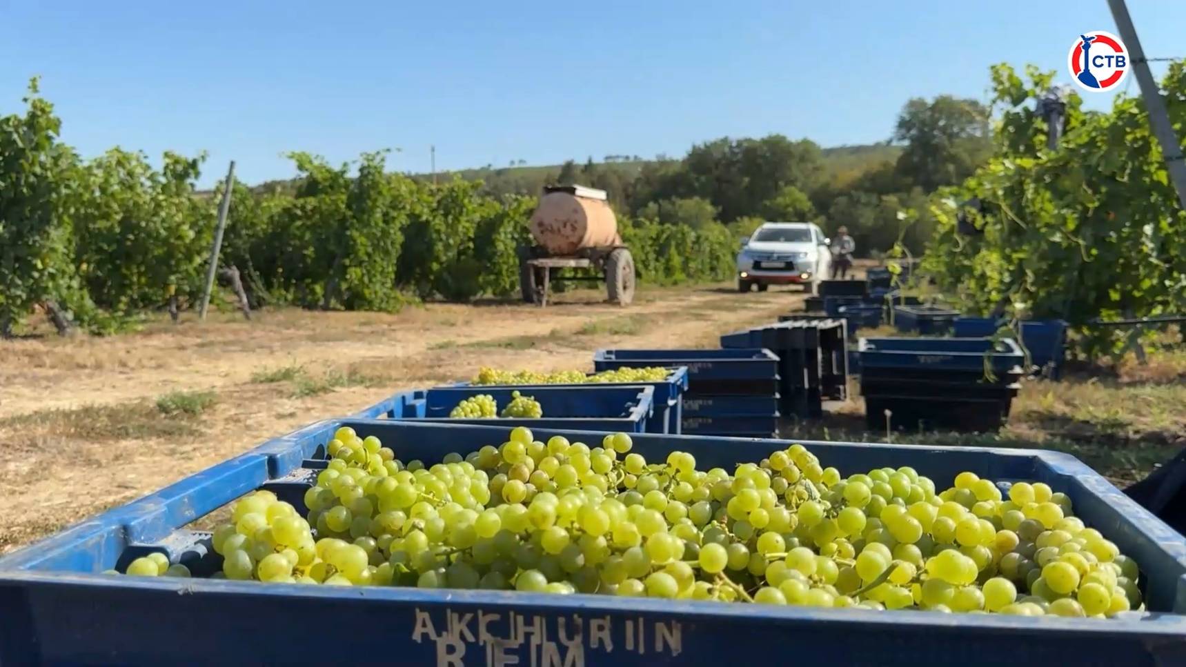 Город, идущий вперед: развитие сельского хозяйства и бизнеса (18 сентября 2025)