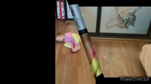 Цирковой коллектив "Юная плеяда" Младшая группа на дистанционном обучении.