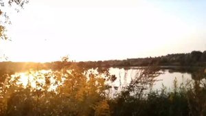 Почки. Пульсовая диагностика.