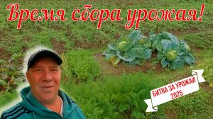 Генеральная "ревизия" огорода, перед уборкой Урожая! Вернулись из Сочи. Битва за урожай. Серия 11.