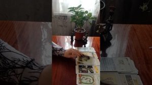 Таро.Пришло время отвечать.