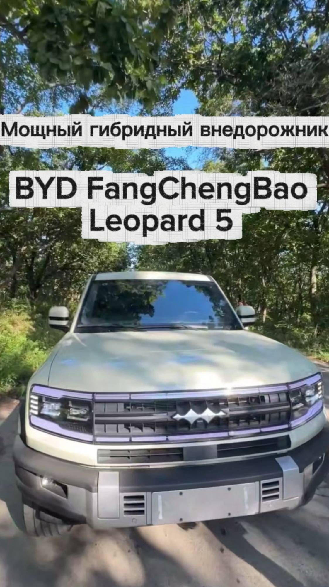 Мощный гибридный внедорожник BYD LEOPARD 5 2024 смотреть онлайн