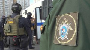 В стройкомпании, чьи рабочие устроили драку в центре Петербурга, прошел обыск