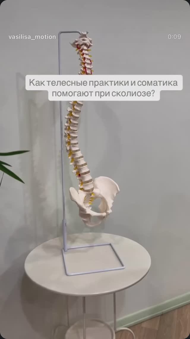 Как соматика помогает при сколиозе ? смотреть онлайн