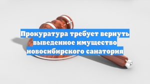 Прокуратура требует вернуть выведенное имущество новосибирского санатория