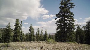 Ужас в Хай-Дезерт (фильм, 2021) Horror in the High Desert 2021 ужасы, триллер США